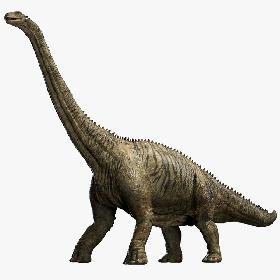 3D brontosaurus 3D (Rigged) model